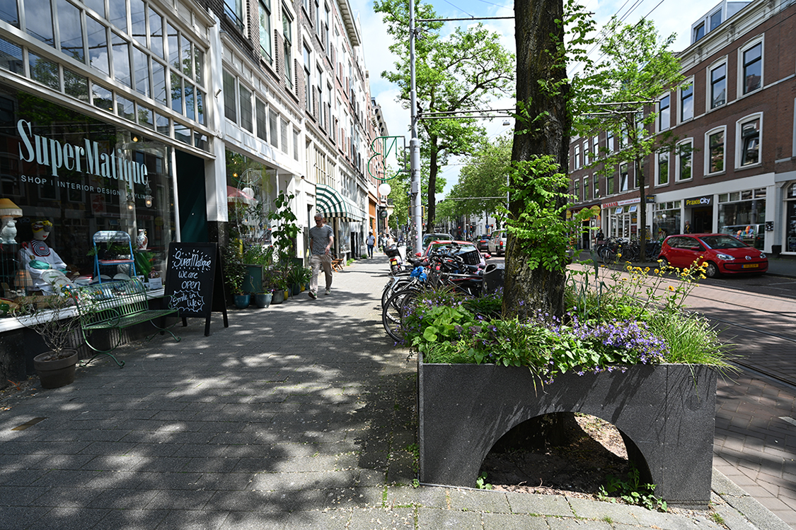 BLOOMBOX