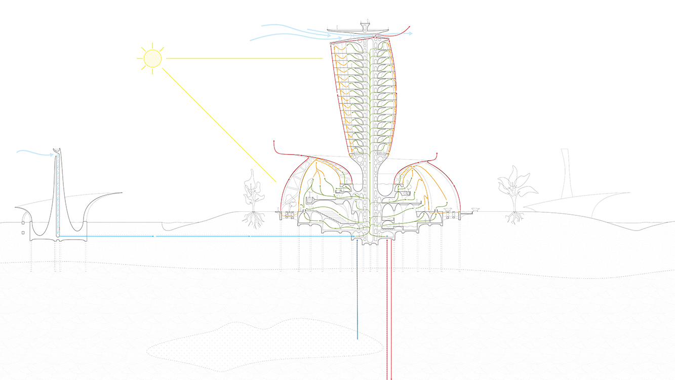 section drawing