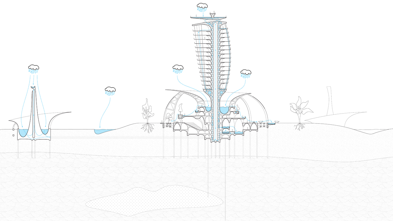 section drawing